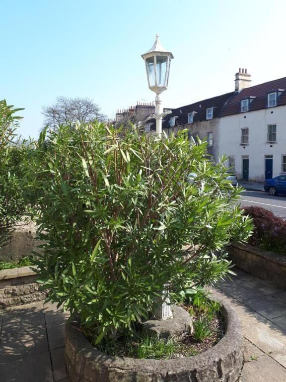 Oyo No 3 Hotell Bath Eksteriør bilde
